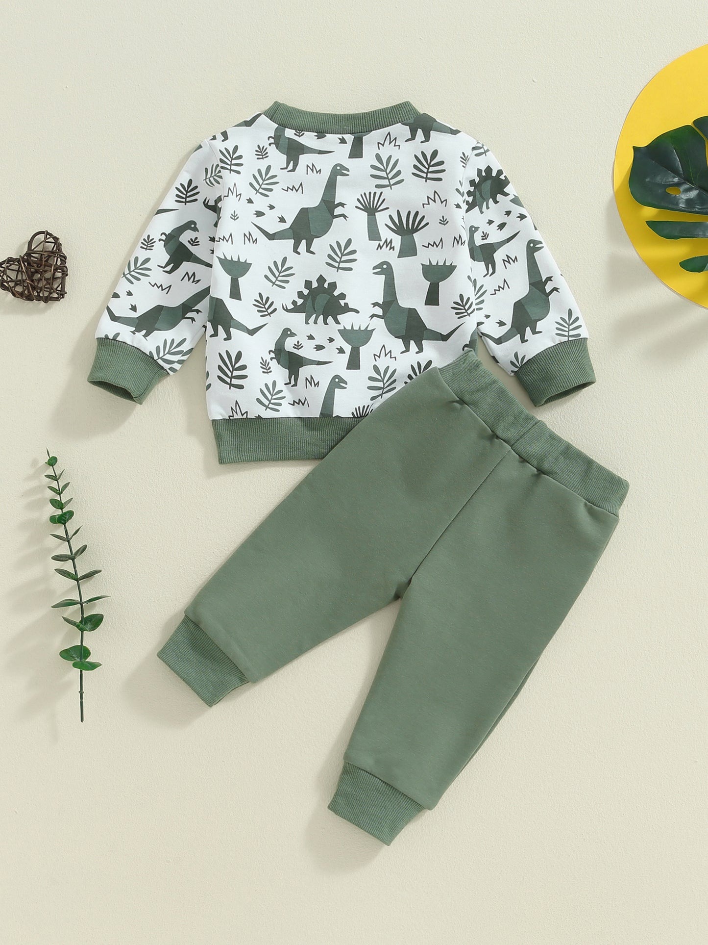 Kids Boys 2pcs Outfit, Long Sleeve Dinosaur Print Sweatshirt with Elastic Waist Sweatpants Fall Outfit