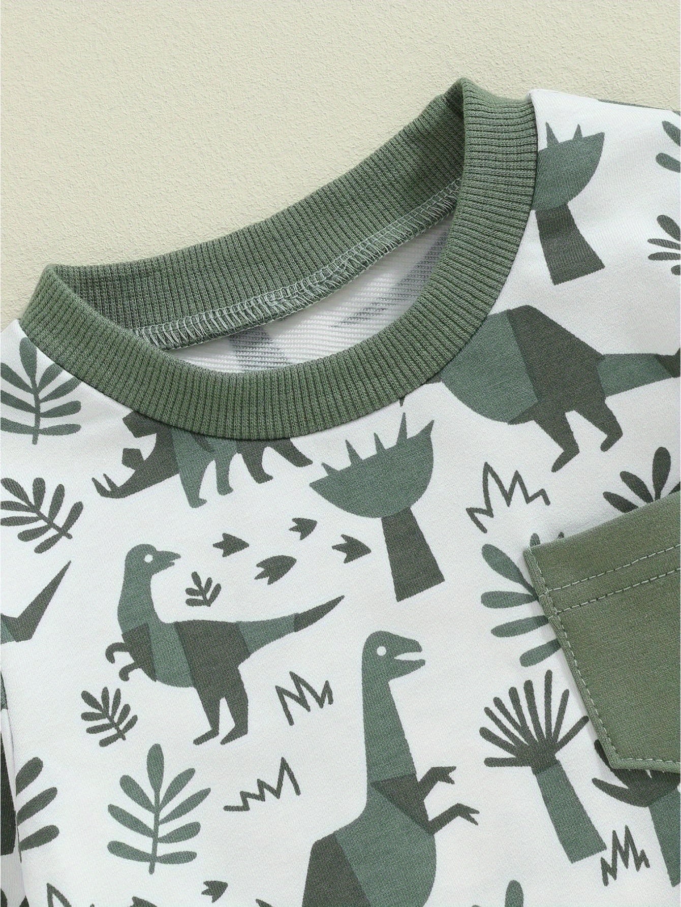 Kids Boys 2pcs Outfit, Long Sleeve Dinosaur Print Sweatshirt with Elastic Waist Sweatpants Fall Outfit