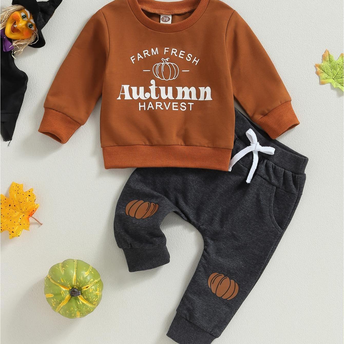 Baby Boy Halloween Tracksuit Pumpkin Prints Long Sleeve Sweatshirt and Elastic Pants for Toddler Fall 2pcs Casual Outfits, Halloween Toddler, Toddler Thanksgiving Outfit, Fall Toddler Clothes, Toddler Halloween, Toddler Fall