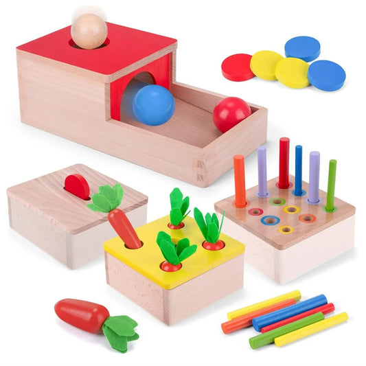 Montessori Toys For 1 Year 4 In 1 Wooden Object Box Sorting